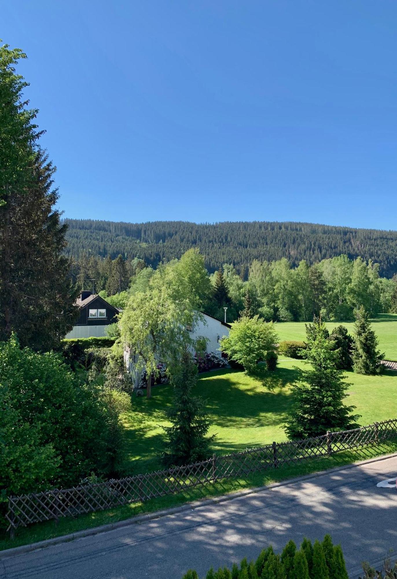 Ferienwohnung Homburger - Titisee Exterior photo